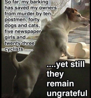 Illustration for article titled When Your Dog Barks Be Grateful They Are Just Saving Your Life From MurderÂ